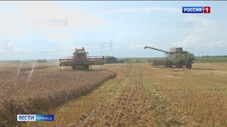 Брянские аграрии приступили к уборке зерновых культур