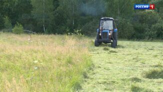 В Брянской области сельхозпредприятия завершили заготовку кормов