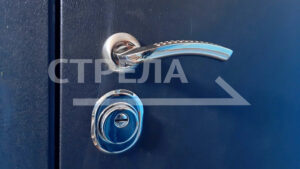 В Брянской области тренеру по боксу из Севска вручили ключи от квартиры