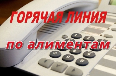 «Горячая линия» по вопросам взыскания алиментов