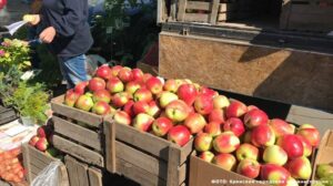 В Брянской области с 17 августа открываются ярмарки выходного дня