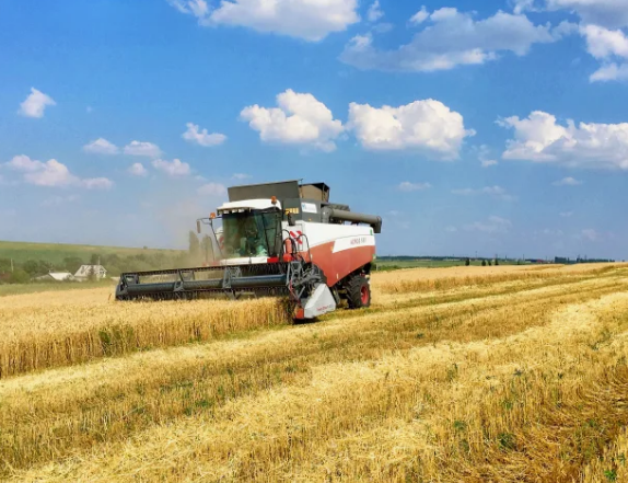 На полях  Злынковского района продолжается уборочная кампания