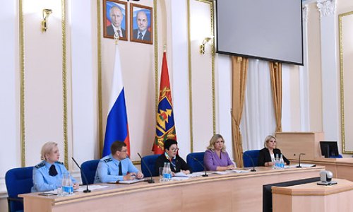 В Правительстве Брянской области прошло  заседание комиссии по делам несовершеннолетних и защите их прав