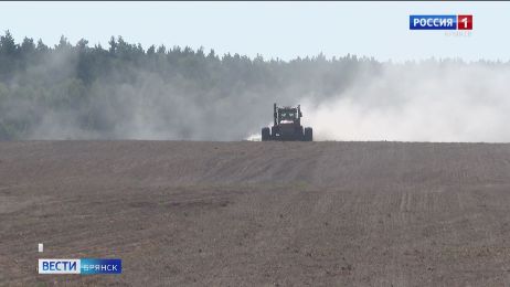 Брянские аграрии завершают подготовку почвы и сев озимых культур под урожай будущего года