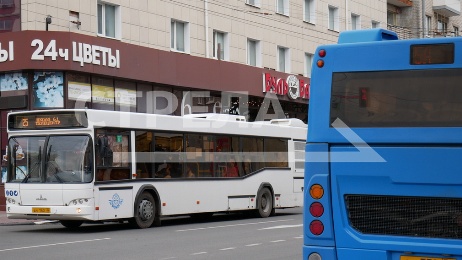 Губернатор Брянщины  федеральному информационному агентству «Регнум»