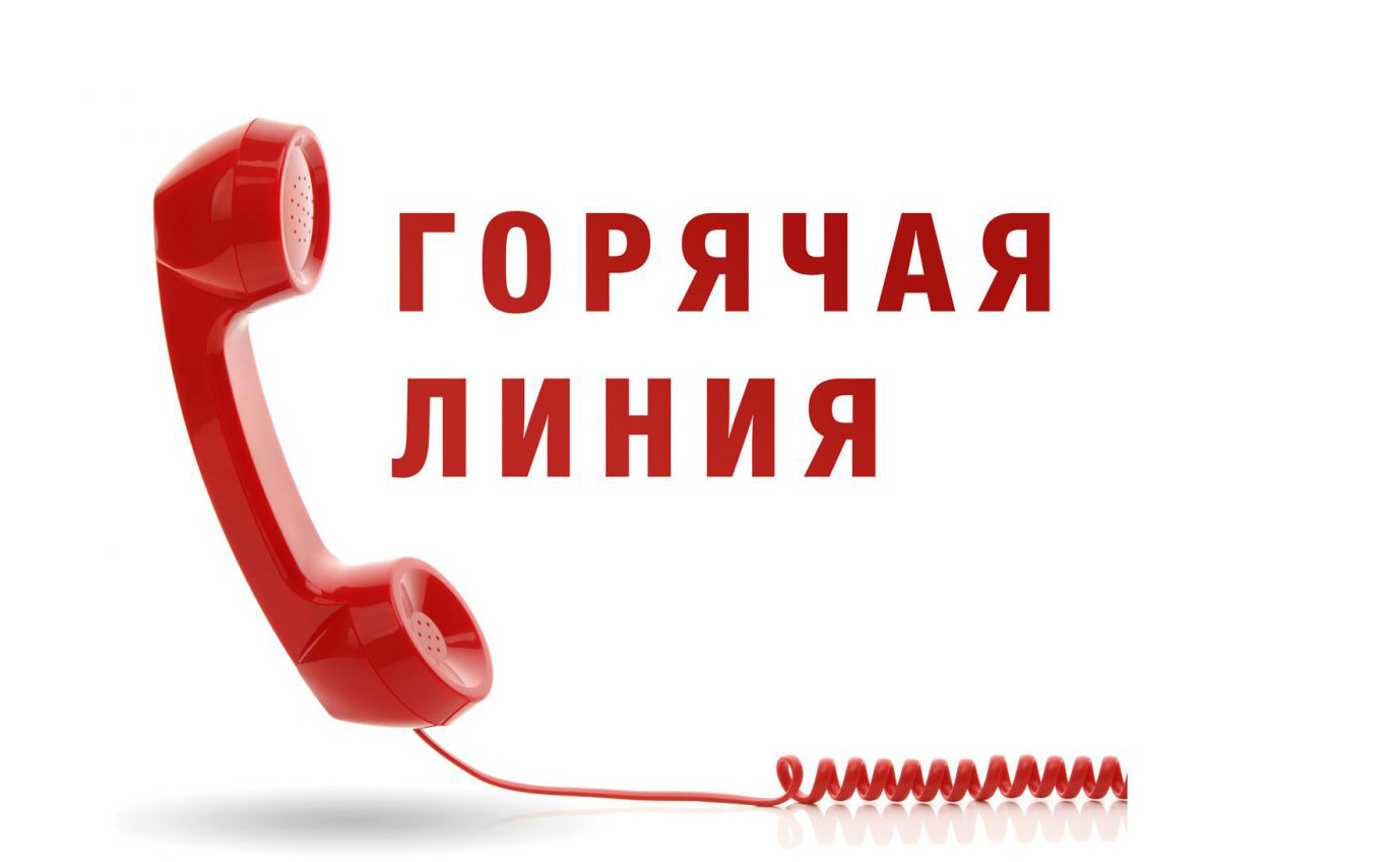 Внимание, горячая линия