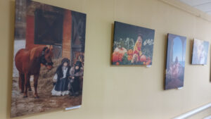 В Жуковке Брянской области открылась выставка брянского фотохудожника Ольги Додоновой