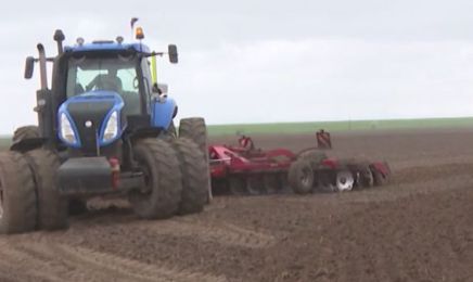 Аграрии Брянской области продолжают озимый сев