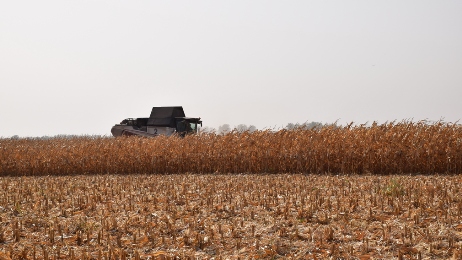 В Климовском районе Брянщины подвели итоги сельскохозяйственного года