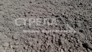 В Брянской области многодетным семьям предоставили почти 7 тысяч земельных участков