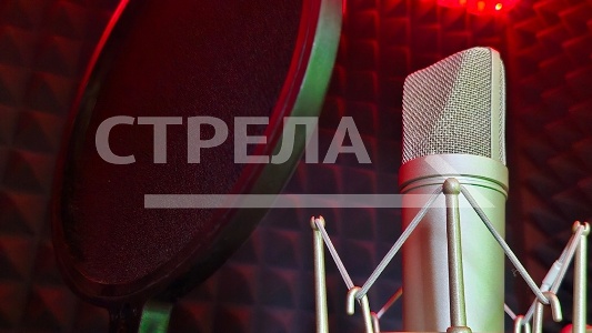 Брянцев приглашают на концерт ко Дню матери, который состоится в ДК Медведева