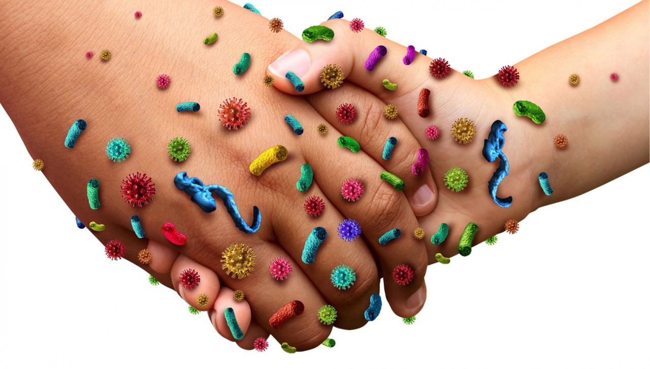 Меры профилактики энтеровирусной инфекции