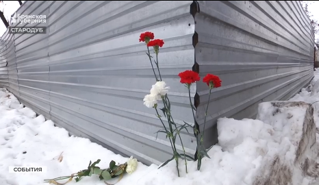 В Стародубе Брянской области погиб 12 летний мальчик