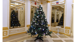 В Брянской области заместитель губернатора Галина Петушкова исполнила новогоднее желание Арсения