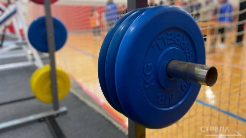 В Брянской областной Думе говорили о перспективах развития физкультуры и спорта в муниципальных образованиях