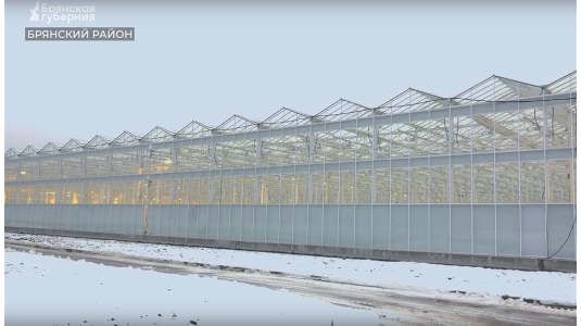 Новые теплицы готовятся к запуску в селе Журиничи Брянской области