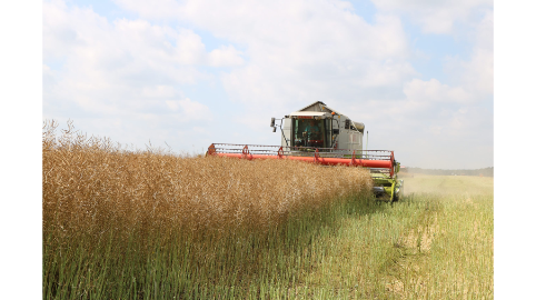 На Брянщине подвели итоги сельскохозяйственного года