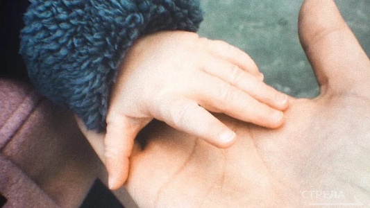 В Брянской области некоммерческие организации (НКО) активно поддерживают семьи