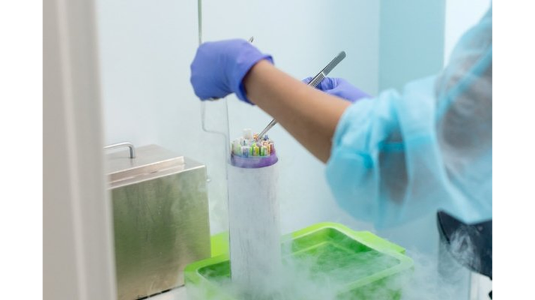 Развитие репродуктивного здоровья в Брянской области в рамках нацпроекта «Семья»