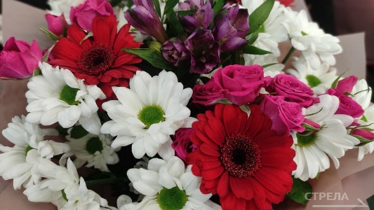 Губернатор Брянщины поздравил сотрудницу Росреестра с высокой госнаградой