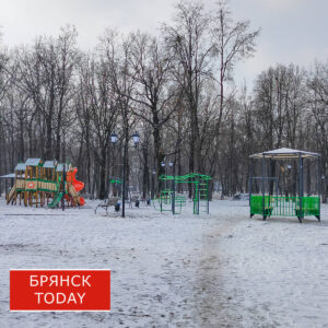 Итоги отбора инициативных проектов на 2025 год подвели в Брянской области