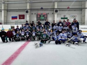 Брянские хоккеисты одержали победу в финале Всероссийских соревнований