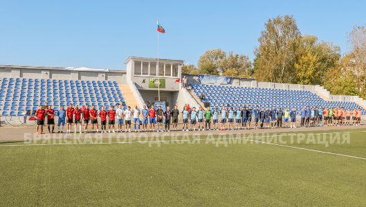Реконструкция стадиона имени Брянских Партизан
