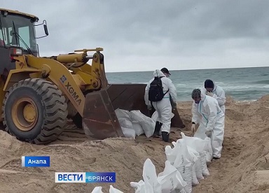 Брянские волонтеры помогают ликвидировать экологическую катастрофу в Анапе
