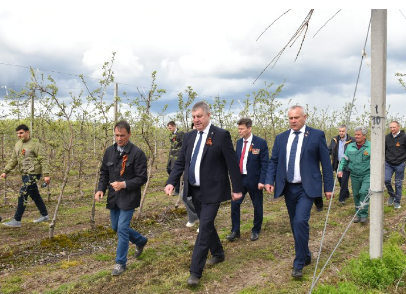 В рамках всероссийской акции «Сад памяти» в Клетнянском районе Брянщины посадили вишни