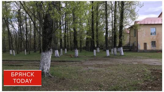 Брянцы выбирают, какие объекты благоустроить в следующем году