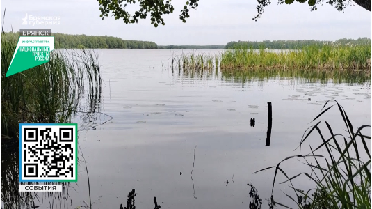 В Брянске парк «Олимпийский» стал лидером голосования за благоустройство в 2026 году