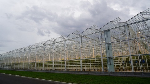 Брянскую область с рабочим визитом посетила министр сельского хозяйства РФ