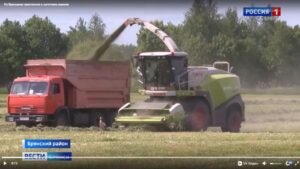 В Брянской области приступили к заготовке кормов