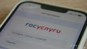 Жителям Брянщины разбираться в бытовых проблемах помогает приложение «Госуслуги.Дом»