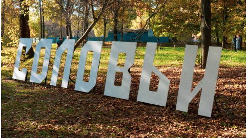 В рамках нацпроекта в Брянской области поддержали «Рождение русской сказки»