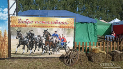 В брянском селе Кокино работает агропромышленная выставка «День поля»