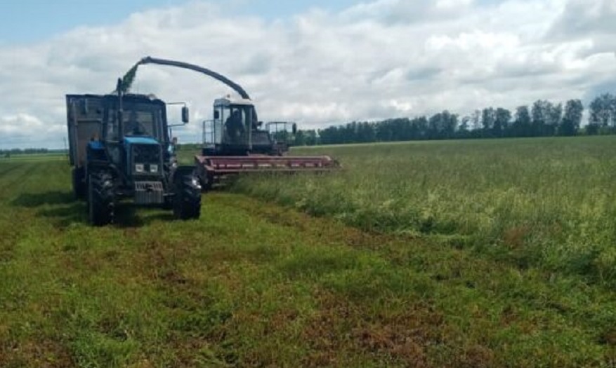 В Красногорском районе Брянщины идет заготовка кормов
