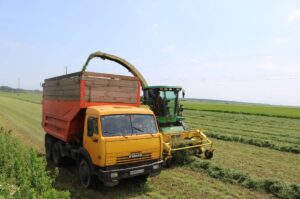 В брянских Комаричах полным ходом идет заготовка кормов для скота