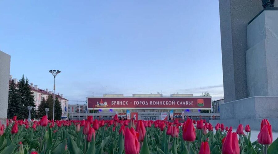 Брянщину включили в государственную программу восстановления пострадавших территорий