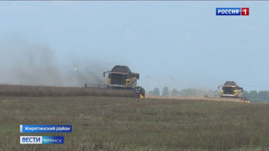 Брянская область лидирует в России по урожайности рапса