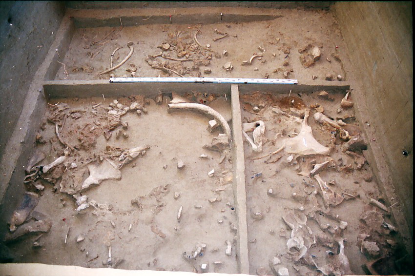 Под Брянском археологи нашли фрагменты украшений III века нашей эры