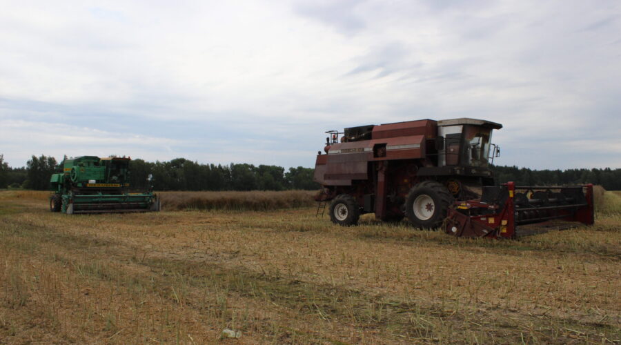 На Брянщине у сельских тружеников Климовского района сейчас горячая пора