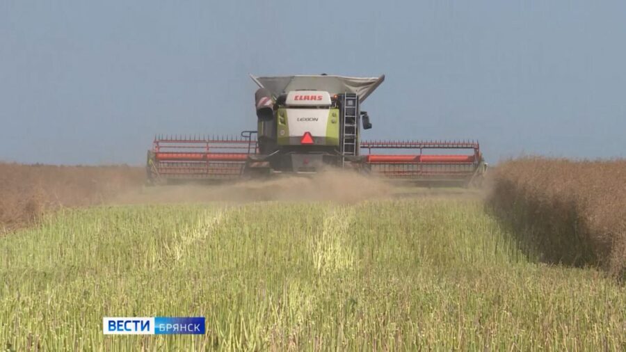 Во всех районах Брянщины стартовала уборочная страда