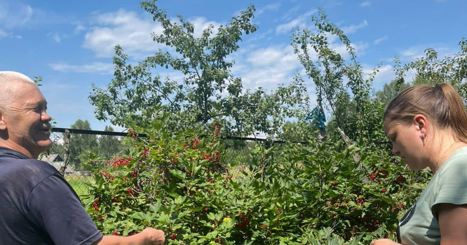 Злынковские социальные работники совместно с получателями социальных услуг на дому собирают ягоды