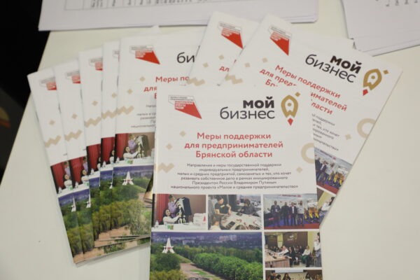 Брянские предприниматели могут получить экспертную поддержку стартапа в  рамках нацпроекта