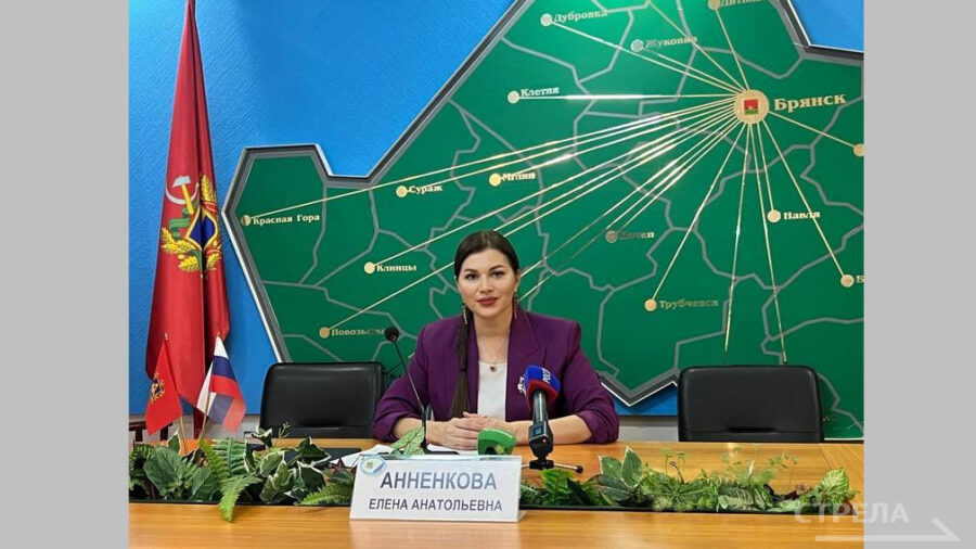 О ходе голосования в Брянской области представителям СМИ рассказала председатель избирательной комиссии Елена Анненкова