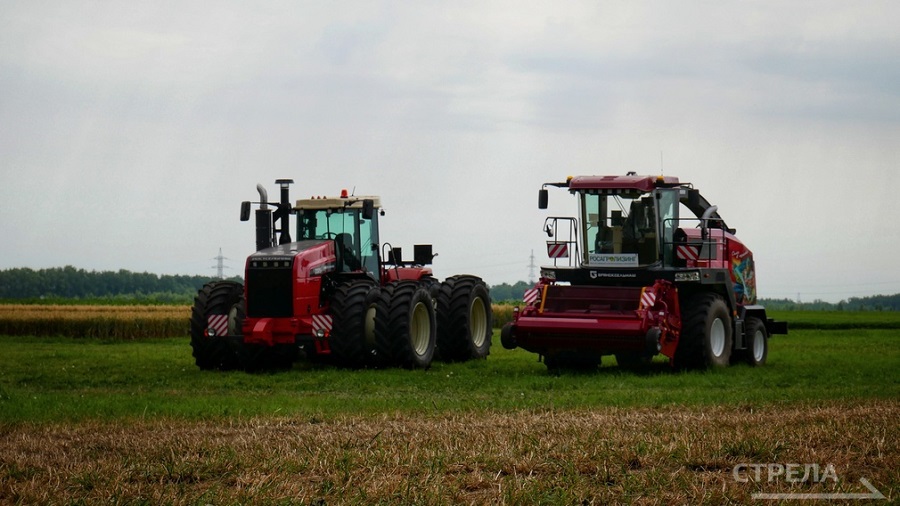 В Брянской области достигли рекордных показателей по сбору зерновых, картофеля и масличных культур