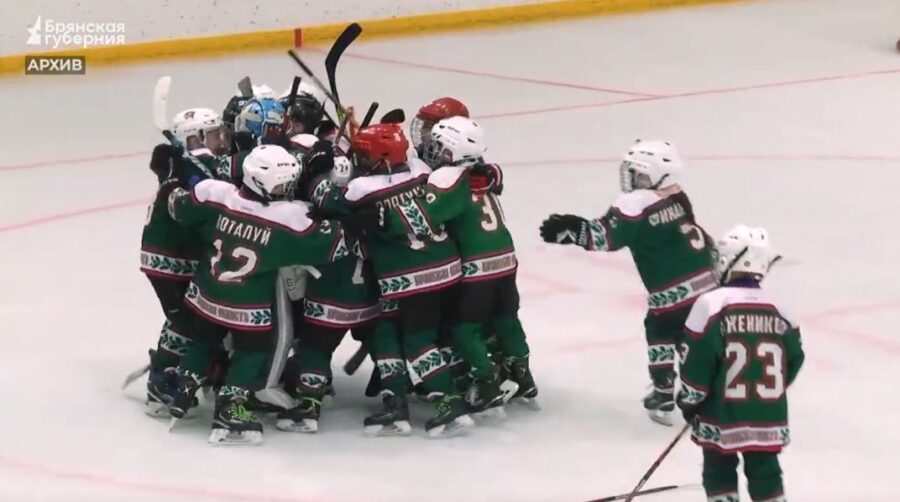 Брянские власти уделили пристальное внимание развитию хоккея