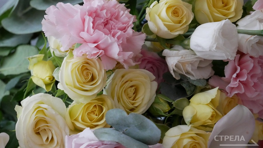 Александр Богомаз поздравил двух брянцев с заслуженными наградами