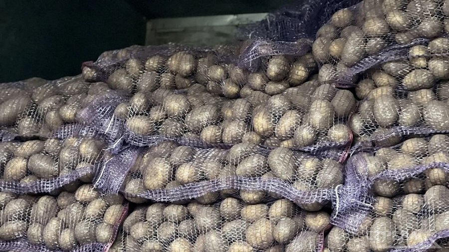 В Брянске на ярмарках — сельхозпродукция по доступным ценам